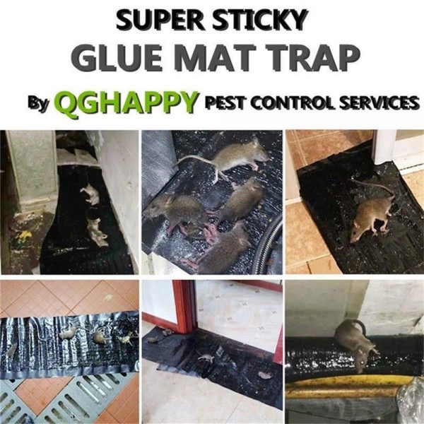 Mouse Rat Trap Sheet